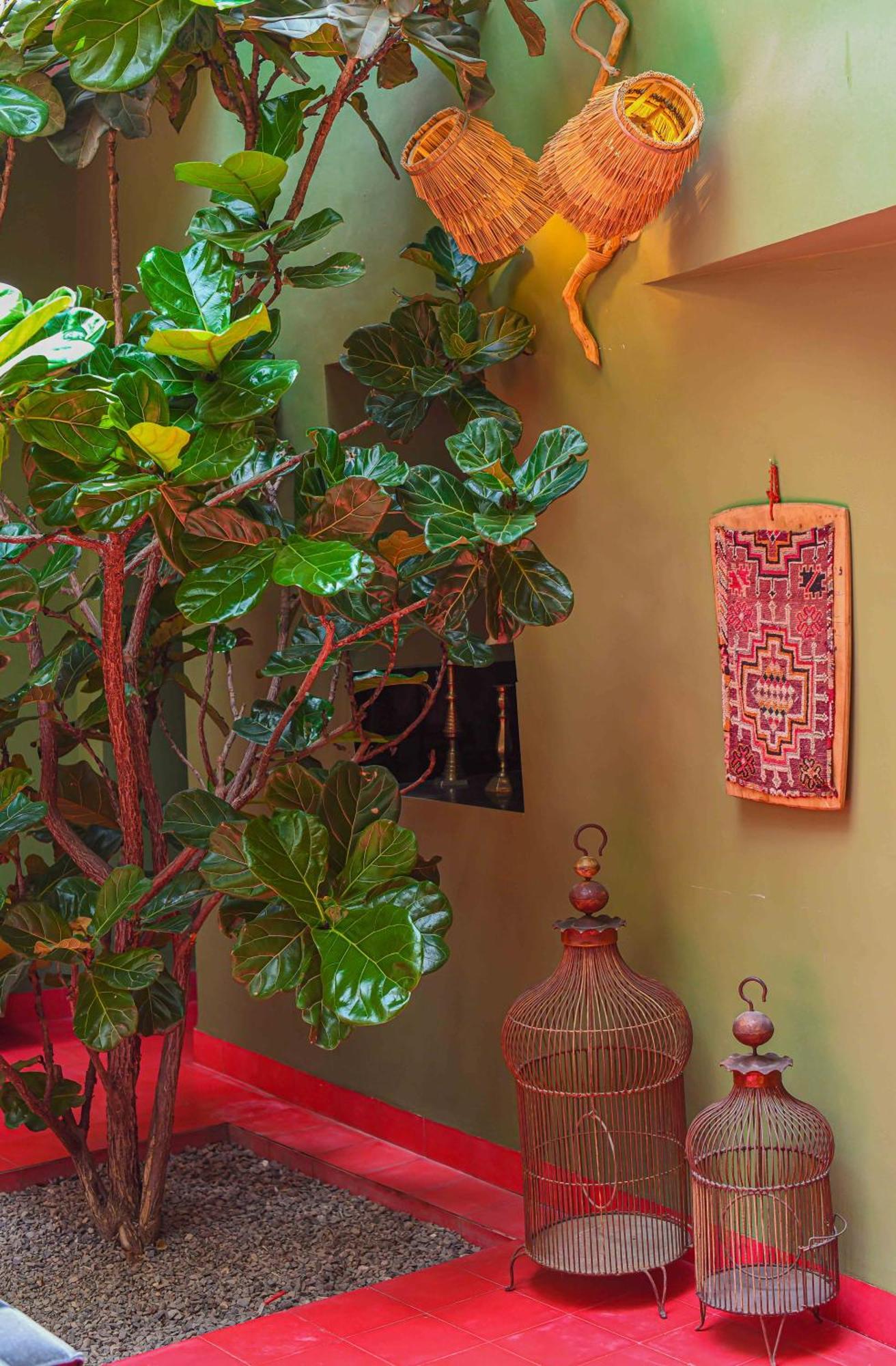 Riad Olive Privatif 4 Personnes Hotel Marrakesh Ngoại thất bức ảnh