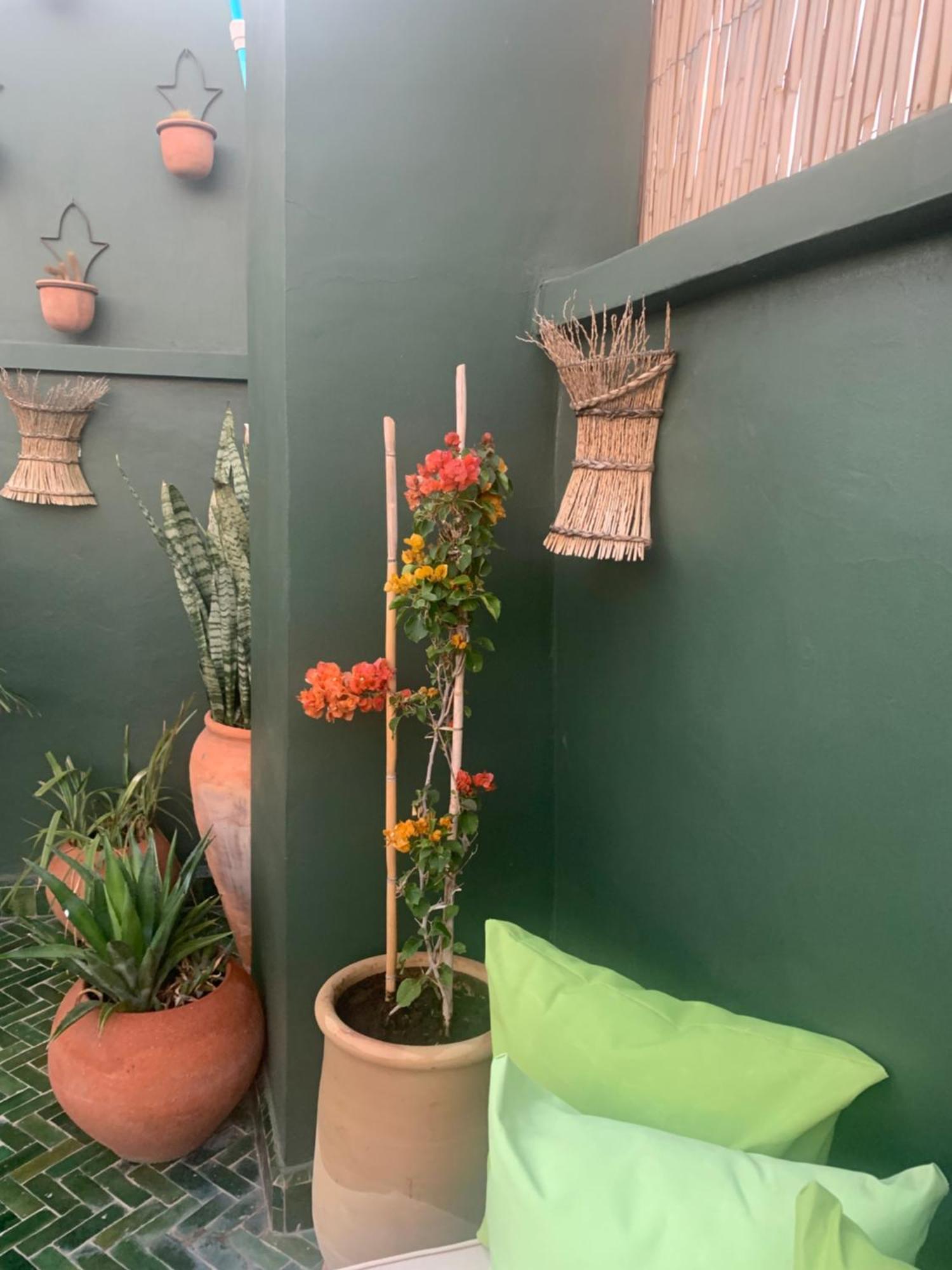 Riad Olive Privatif 4 Personnes Hotel Marrakesh Ngoại thất bức ảnh